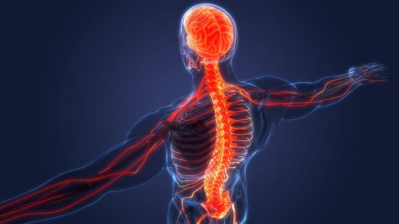 Different Levels of Spinal Cord Injuries