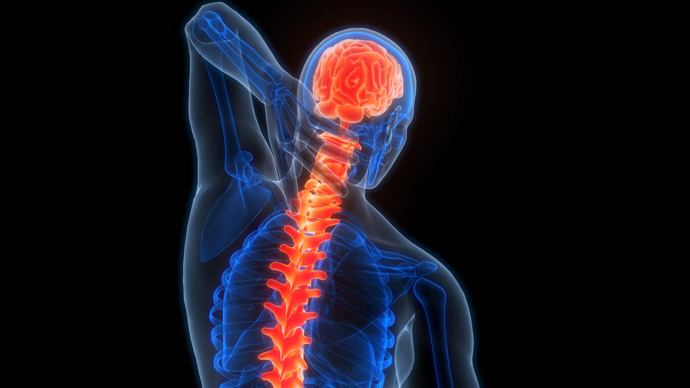 Bicycle-Related Brain or Spine Injury in Georgia
